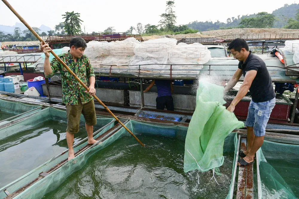 Làng chài giữa đại ngàn núi rừng Tuyên Quang - Ảnh 5.