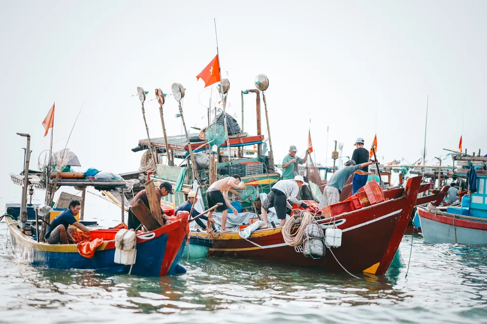 Đợi cá lúc bình minh ở làng chài Nhân Trạch - Ảnh 1.