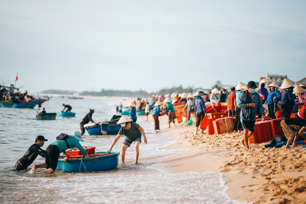 Đợi cá lúc bình minh ở làng chài Nhân Trạch - Ảnh 4.