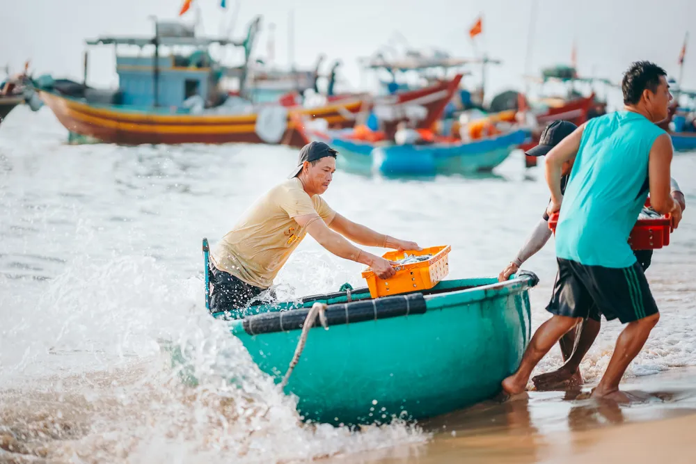 Đợi cá lúc bình minh ở làng chài Nhân Trạch - Ảnh 10.