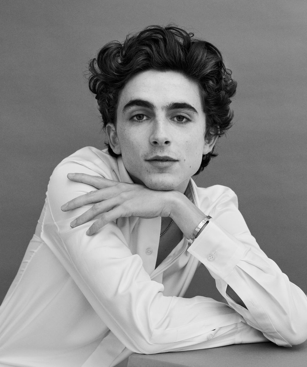 Timothée Chalamet đã trở thành chàng thơ mới của Hollywood như thế nào? - Ảnh 1.