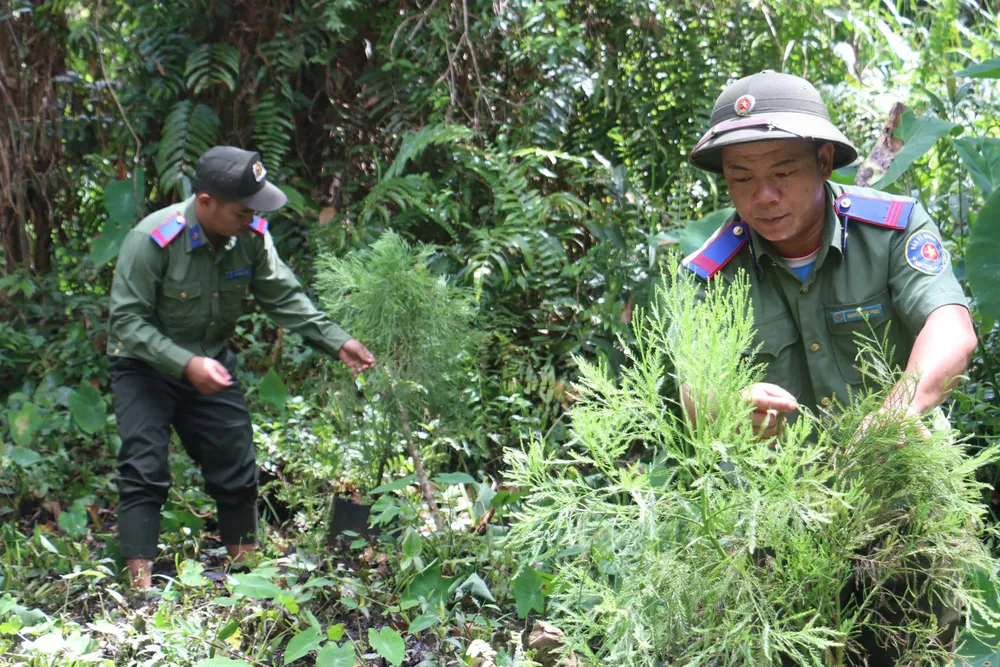 Báu vật nằm giữa rừng có núi tiền cũng không mua nổi - Ảnh 6.