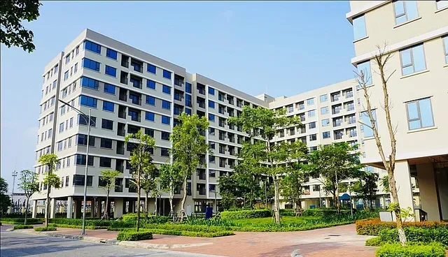 noxh1-65889471103137140069643