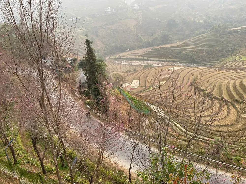 Du xuân ngắm hoa mận, ruộng bậc thang ở Mù Cang Chải - Ảnh 5. Du xuân ngắm hoa mận, ruộng bậc thang ở Mù Cang Chải - Ảnh 5.