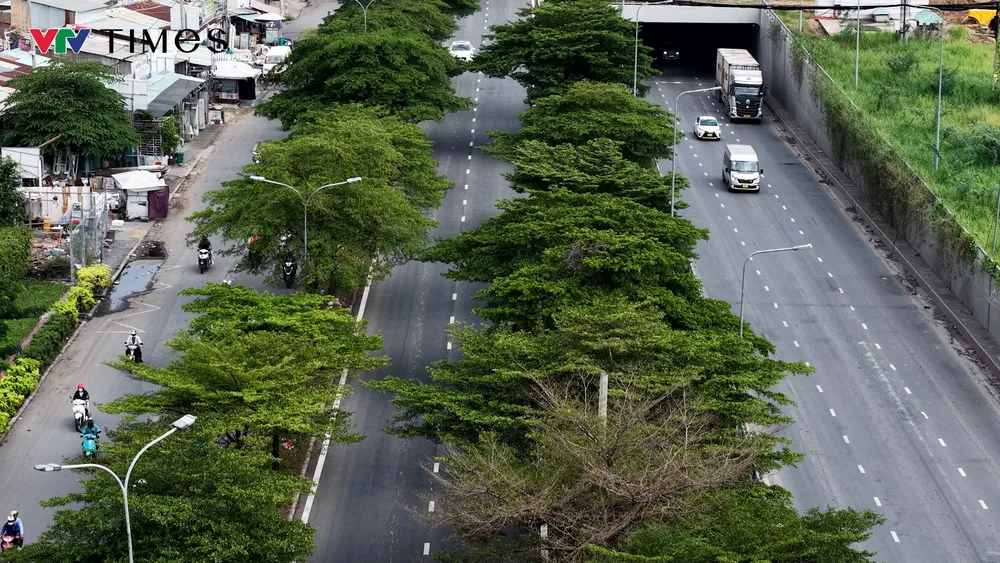  package-media-87316169232314080988637