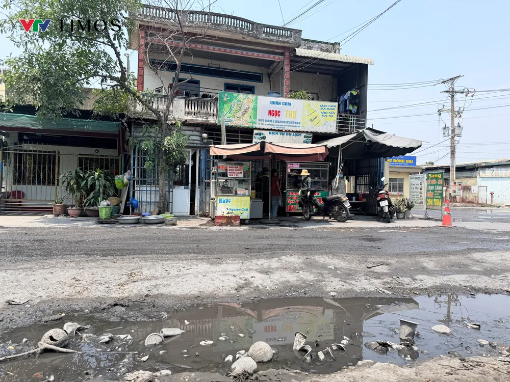 package-media-50461240905193231043412