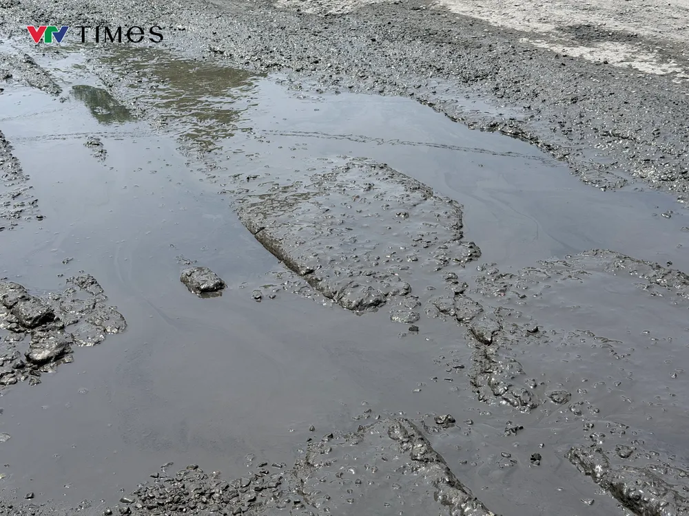 package-media-78778900718241185111323