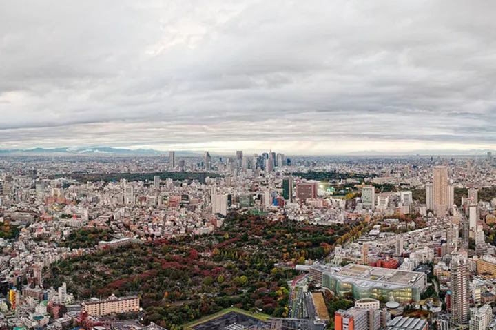 Cảnh sắc mùa thu với lá vàng, lá đỏ đẹp như tranh vẽ ở Tokyo - Ảnh 5.