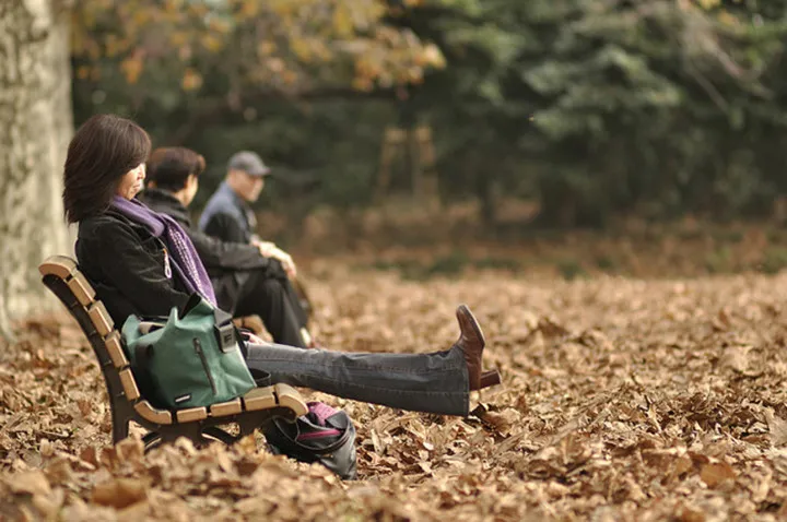 Cảnh sắc mùa thu với lá vàng, lá đỏ đẹp như tranh vẽ ở Tokyo - Ảnh 8.