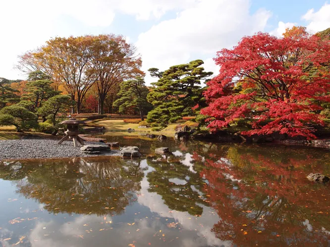 Cảnh sắc mùa thu với lá vàng, lá đỏ đẹp như tranh vẽ ở Tokyo - Ảnh 13.