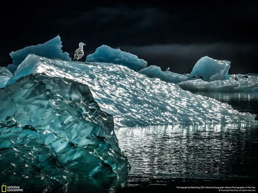 Tròn mắt ảnh thiên nhiên ấn tượng của National Geographic năm 2016 - Ảnh 7.