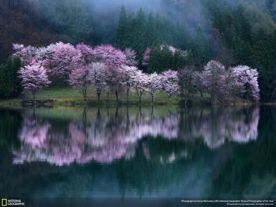 Tròn mắt ảnh thiên nhiên ấn tượng của National Geographic năm 2016 - Ảnh 19.