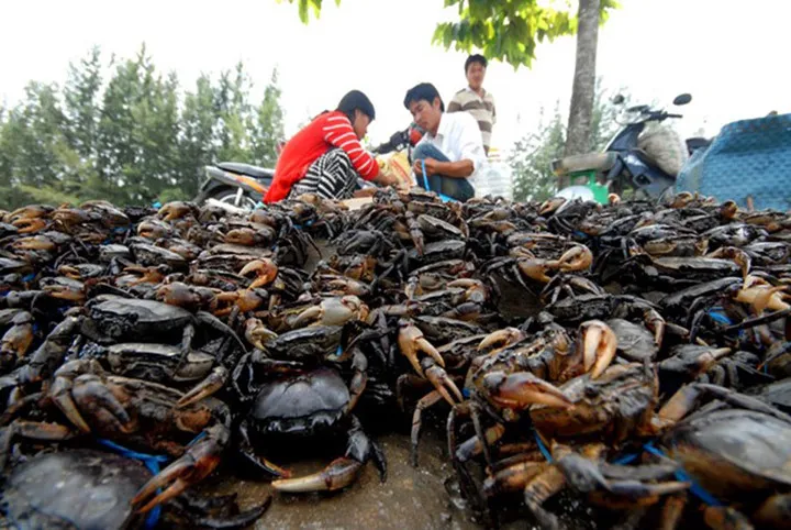 Canh cua rau đay, bài thuốc chữa bệnh ít người biết đến - Ảnh 5.