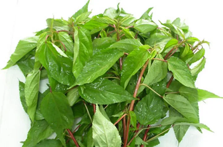 Canh cua rau đay, bài thuốc chữa bệnh ít người biết đến - Ảnh 6.