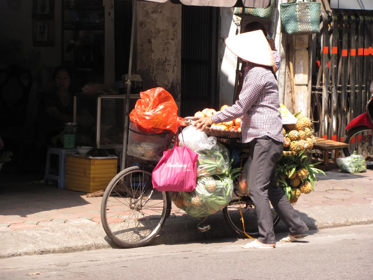 Hà Nội và những gánh hàng rong trên phố - Ảnh 9.