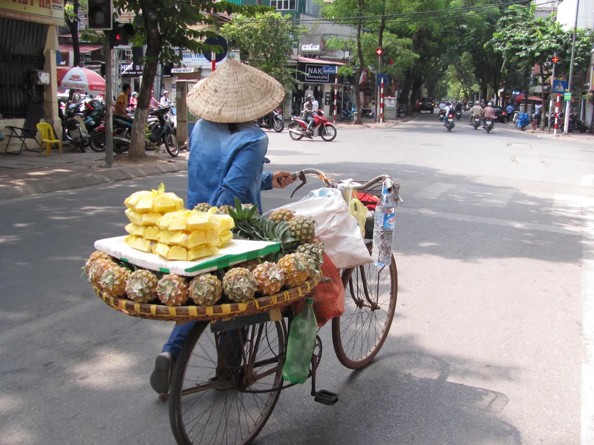 Hà Nội và những gánh hàng rong trên phố - Ảnh 7.