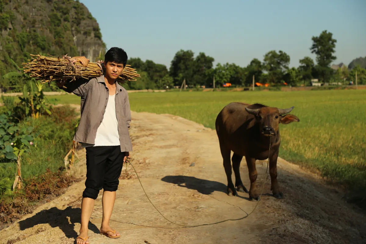 Tô Tuấn Dũng: Chàng diễn viên điển trai mà lại... ngờ nghệch - Ảnh 1.