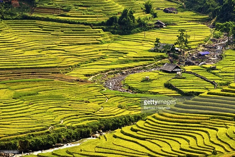 Quy hoạch Sa Pa thành khu du lịch quốc gia - Ảnh 4.