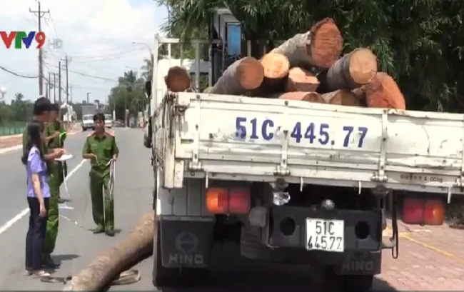 Tai nạn hi hữu: Xe cẩu làm rơi thân dừa đè chết cậu bé 15 tuổi tại Bình Dương - Ảnh 1.