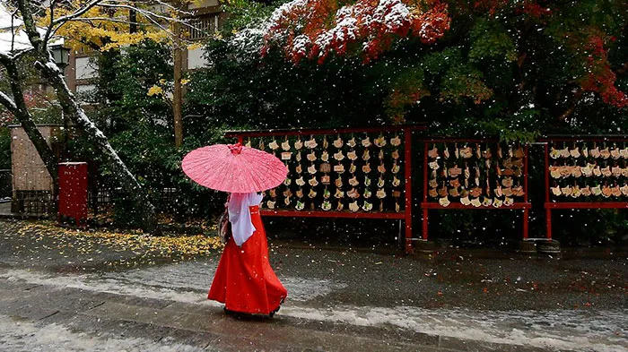 Tokyo đẹp huyền ảo trong những ngày mùa đông sớm - Ảnh 7.