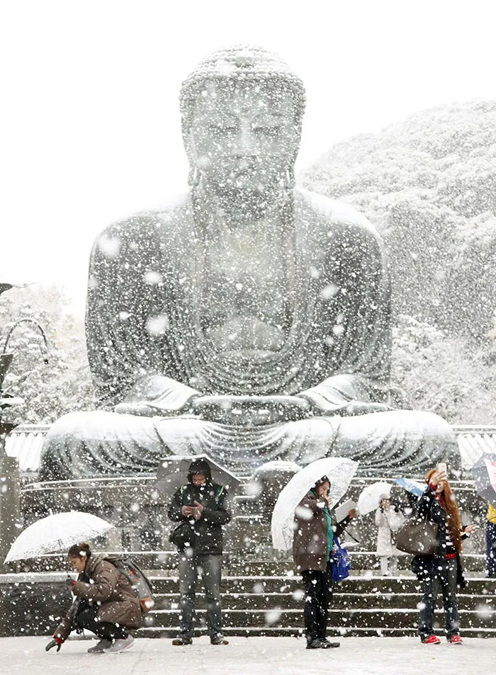 Tokyo đẹp huyền ảo trong những ngày mùa đông sớm - Ảnh 11.