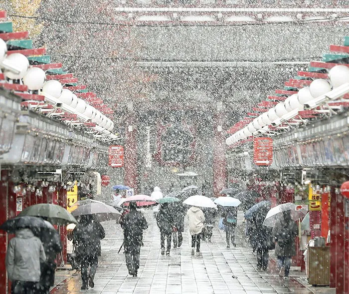 Tokyo đẹp huyền ảo trong những ngày mùa đông sớm - Ảnh 14.