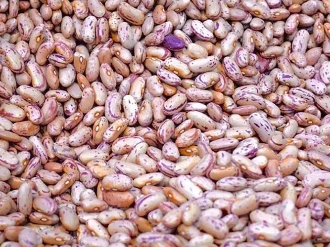 17 loại thực phẩm này sẽ giúp bạn sống lâu hơn - Ảnh 14. 17 loại thực phẩm này sẽ giúp bạn sống lâu hơn - Ảnh 14.