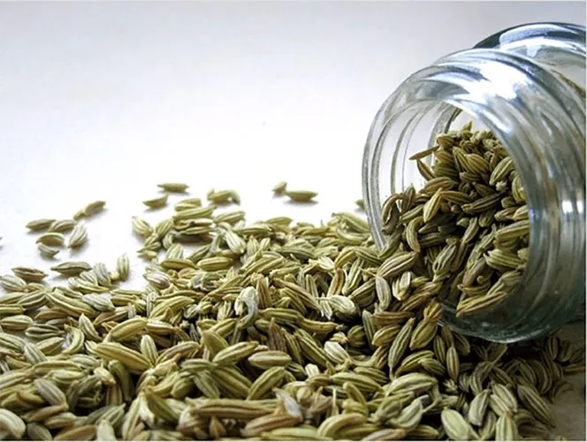 Các loại gia vị, thảo mộc mạnh hơn cả thuốc kháng sinh (phần 2) - Ảnh 5. Các loại gia vị, thảo mộc mạnh hơn cả thuốc kháng sinh (phần 2) - Ảnh 5.