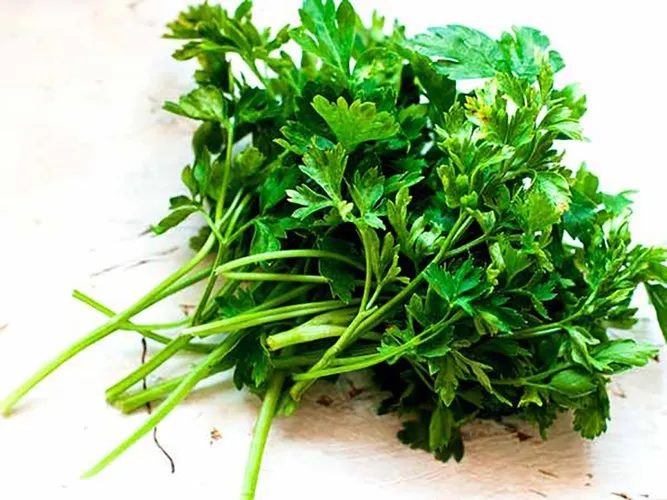 Các loại gia vị, thảo mộc mạnh hơn cả thuốc kháng sinh (phần 2) - Ảnh 10. Các loại gia vị, thảo mộc mạnh hơn cả thuốc kháng sinh (phần 2) - Ảnh 10.