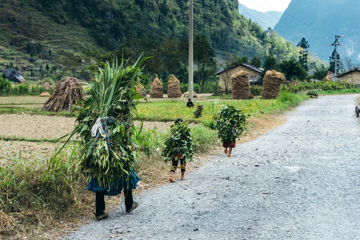 Những hình ảnh đẹp ngất ngây chỉ xem là muốn đến Hà Giang - Ảnh 3.