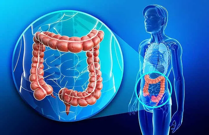 Bí quyết làm tăng cảm giác thèm ăn - Ảnh 5. Bí quyết làm tăng cảm giác thèm ăn - Ảnh 5.