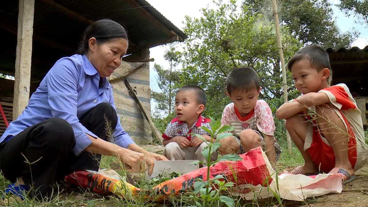 Phim tài liệu Sự sống vẫn tiếp tục: Sự sống sẽ trở thành vĩnh cửu khi được sẻ chia! - Ảnh 2.