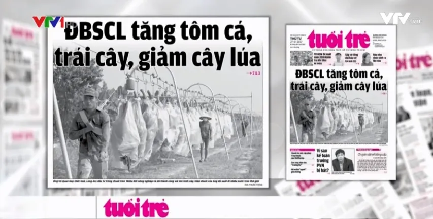 ĐBSCL sẽ phát triển theo hướng tăng tôm cá, trái cây, giảm cây lúa - Ảnh 2.