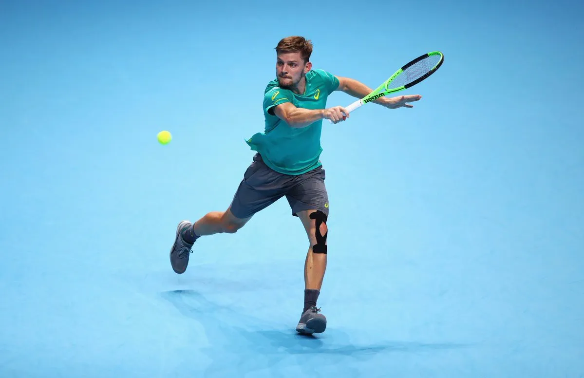 Ngược dòng thắng Federer, Goffin giành quyền vào chung kết ATP Finals 2017 - Ảnh 2. Ngược dòng thắng Federer, Goffin giành quyền vào chung kết ATP Finals 2017 - Ảnh 2.