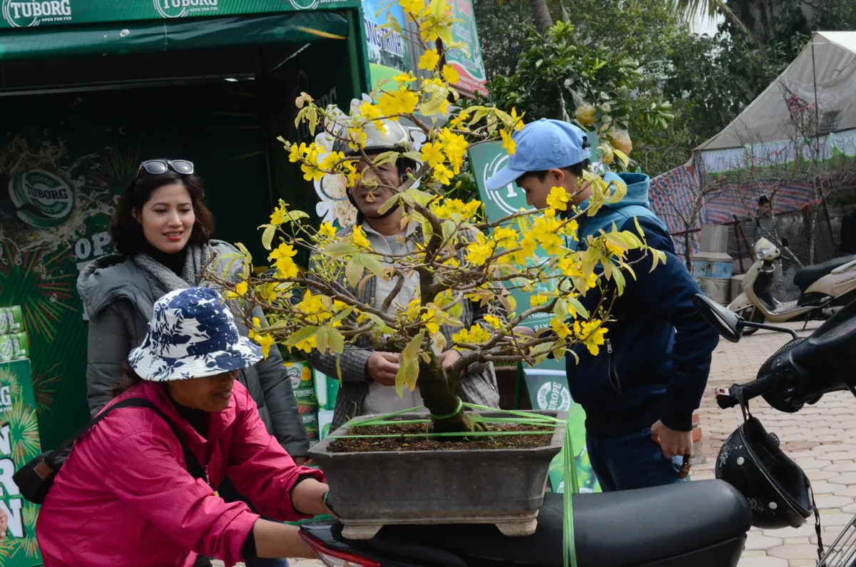 Chợ hoa Hoàng Hoa Thám rực rỡ ngày giáp Tết - Ảnh 26.