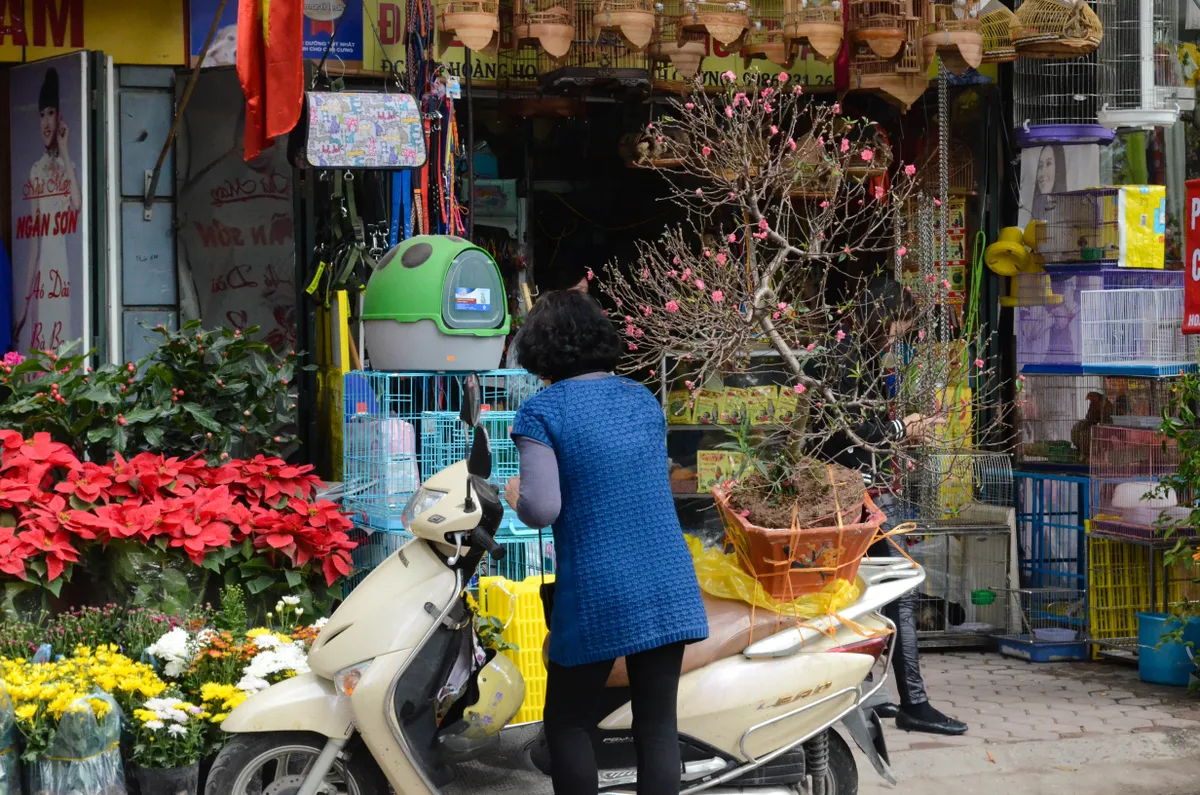 Chợ hoa Hoàng Hoa Thám rực rỡ ngày giáp Tết - Ảnh 8.