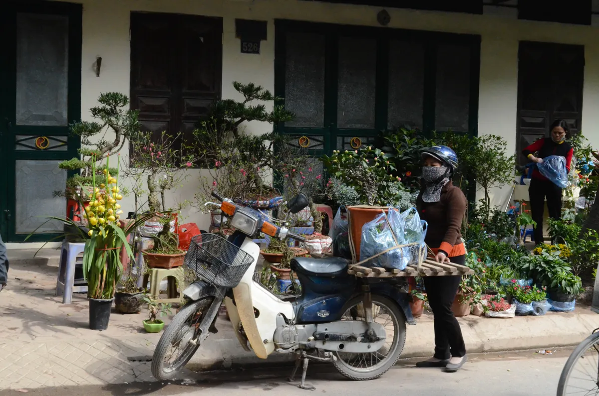 Chợ hoa Hoàng Hoa Thám rực rỡ ngày giáp Tết - Ảnh 15.