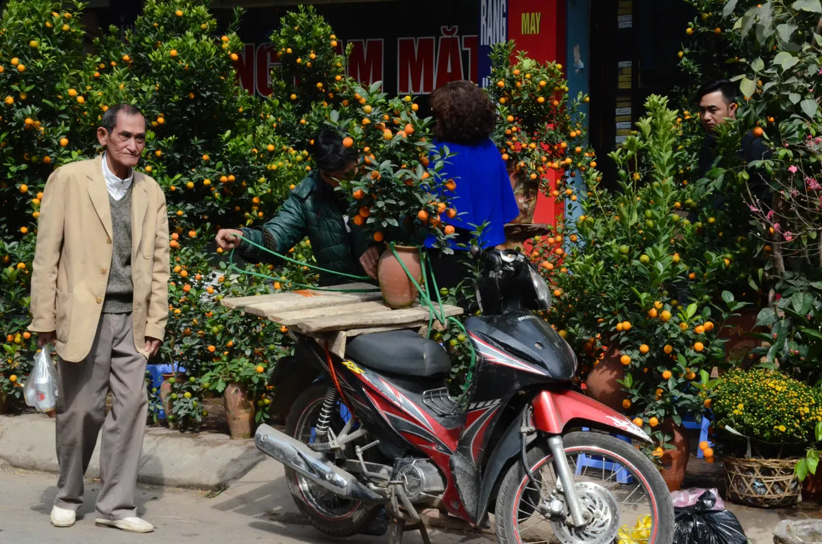 Chợ hoa Hoàng Hoa Thám rực rỡ ngày giáp Tết - Ảnh 3.