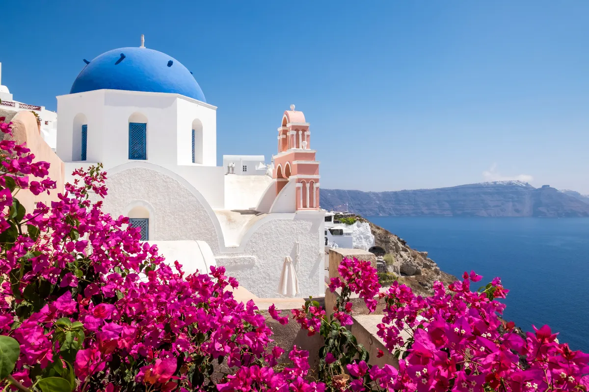 Sắc hồng hoa giấy tô điểm vẻ đẹp của Santorini - Ảnh 1.