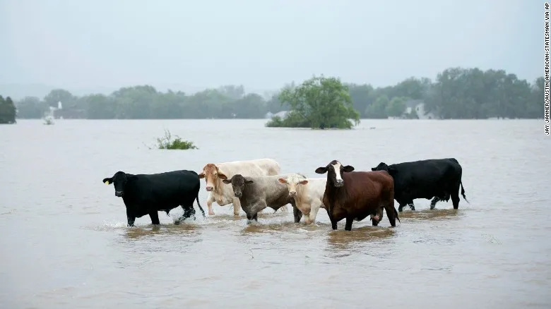 Bang Texas, Mỹ hoang tàn sau siêu bão Harvey - Ảnh 21.