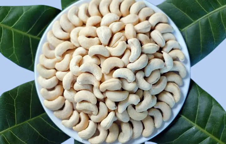 Công dụng ít biết của hạt điều đối với sức khỏe - Ảnh 3.