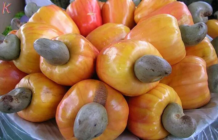 Công dụng ít biết của hạt điều đối với sức khỏe - Ảnh 7.