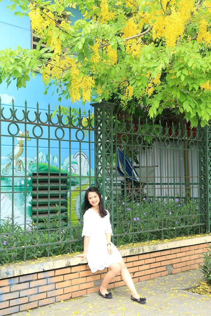 Ngắm muồng ho&agrave;ng yến nở rực v&agrave;ng giữa trời H&agrave; Nội - Ảnh 9.