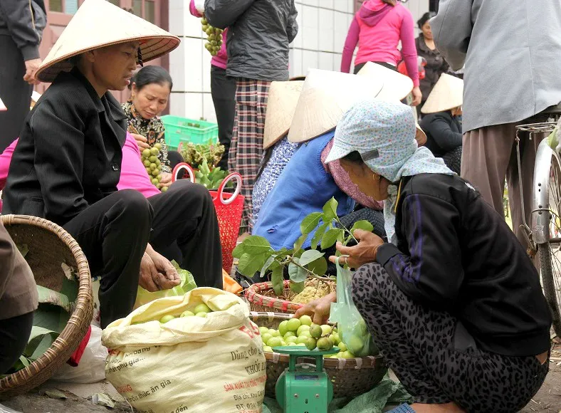 Tất bật chợ quê ngày cuối năm - Ảnh 3.