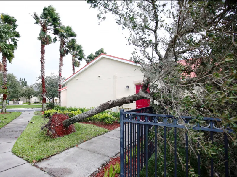 Siêu bão Irma đe dọa ngành du lịch của Florida - Ảnh 2.