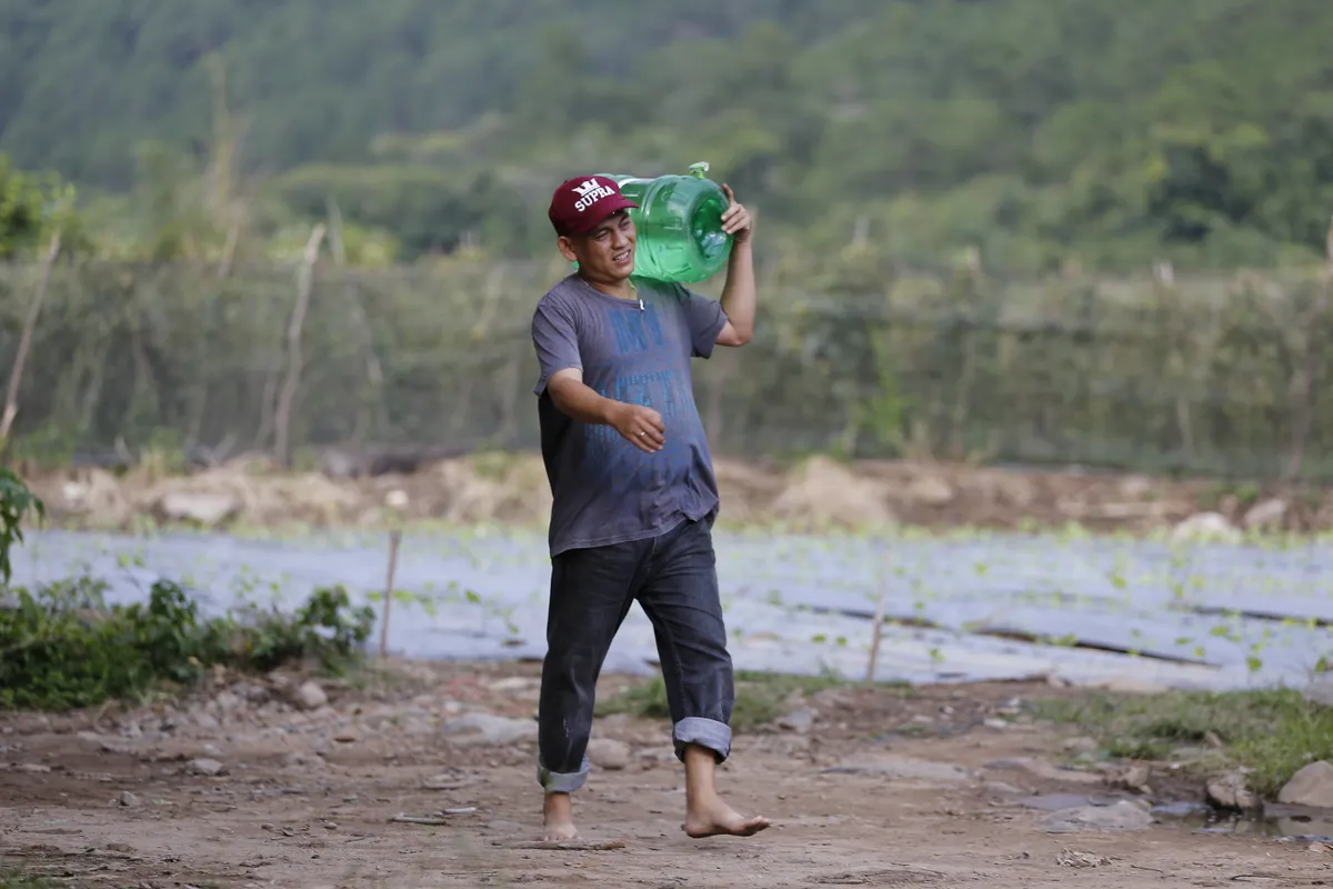 Bố ơi! Mình đi đâu thế? - Tập 6: Kitty khóc thét, Xì Trum sợ không có nhà vệ sinh trong rừng sâu - Ảnh 13.