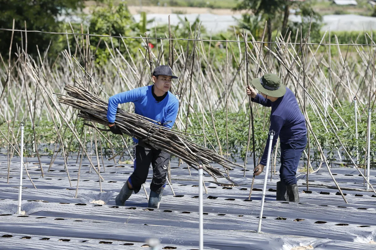 Bố ơi! Mình đi đâu thế?: Sự dũng cảm, nhanh trí của Xì Trum khiến bố Hải Phong nở mũi - Ảnh 4.