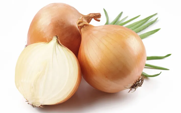 Những thực phẩm tốt cho người bị mỡ máu - Ảnh 5.