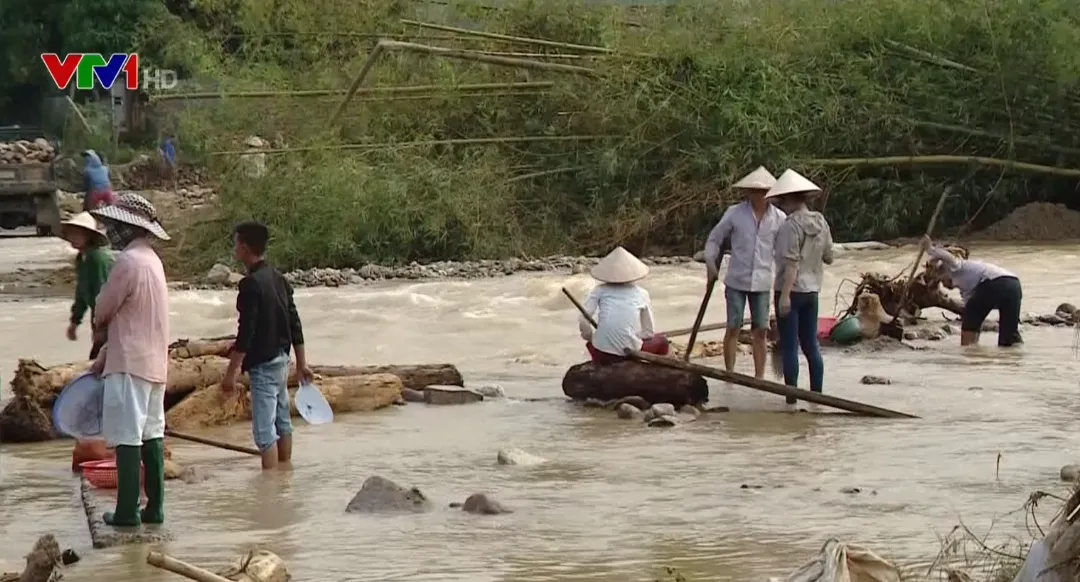 Nông nghiệp thiệt hại nặng nề do mưa lũ - Ảnh 1.