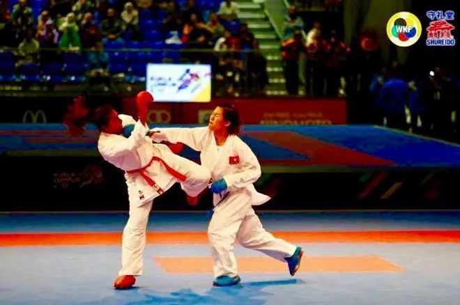 V&otilde; thuật Việt Nam mang về nhiều th&agrave;nh t&iacute;ch ấn tượng trong năm 2017 - Ảnh 1.